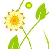Flower Pattern Email Image