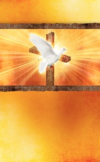 Holy Spirit Fire Bulletin Cover