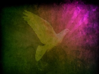 Dove Worship Background