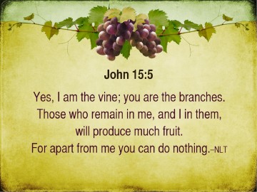 I am the Vine You Are The Branches PowerPoint Sermon
