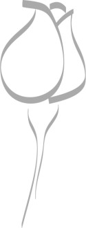 Minimal%20Rose%20on%20Stem