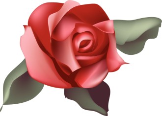 Single%20Red%20Rose%20Blossom