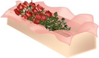 Boxed%20Long%20Stem%20Roses