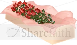 Boxed Long Stem Roses
