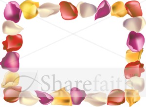 Summer Rose Petal Horizontal