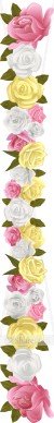 Realistic Spring Rose Side
