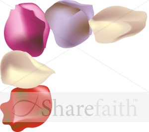 Rose Petal Stationery Corner