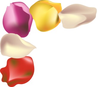 Summer Rose Petal Stationery Corner