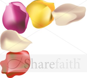 Summer%20Rose%20Petal%20Stationery%20Corner