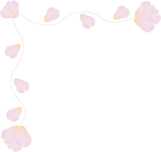 Pink Petal Corner