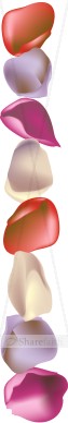 Rose Petal Stationery Side