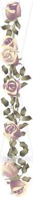 Birthday Rose Column