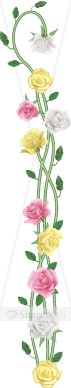 Realistic Spring Rose Curling Side