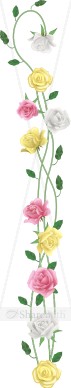 Realistic Spring Rose Simple Side
