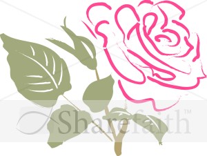Deep Pink Rose Sketch