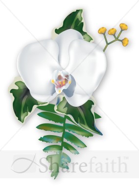 Orchid Corsage for Summer Celebration