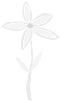 Petite%20Floral%20Accent