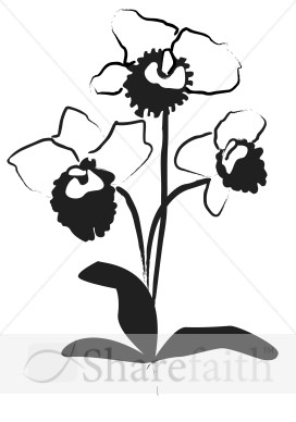 Orchid Decoration in Black Ink