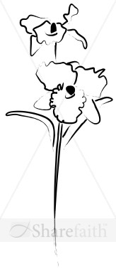 Sketched Orchid Blossom Pair