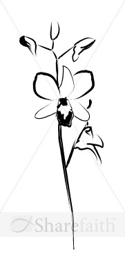 Summer Floral Sketch