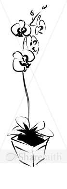 Orchid Flower Gift Planter