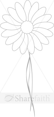 Light Stem on Daisy Blossom