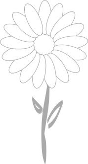 Good%20Morning%20Flower