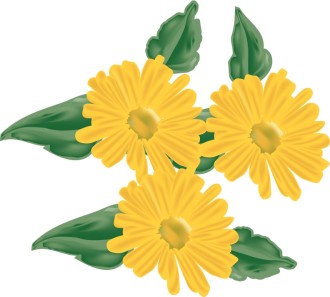 Three%20Daisies%20from%20the%20Garden