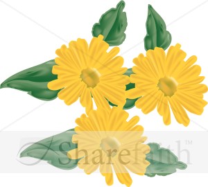 Three%20Daisies%20from%20the%20Garden