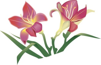Easter%20Lillies%20in%20Pink