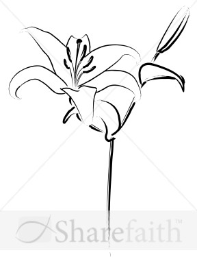 Easter Lily Line Art