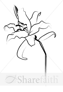 Lovely Lily Line Art
