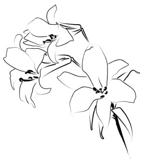 Trio%20of%20Lily%20Flowers%20Line%20Art