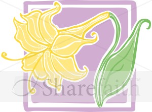 Blossoming Easter Lily