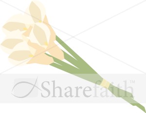 Calla%20Lilies%20Wrapped
