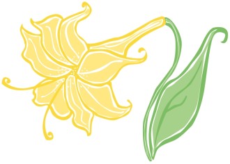 Bodacious%20Yellow%20Easter%20Lily
