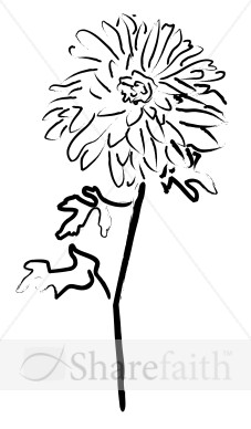 Planted Mum Sketch