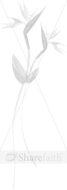 Wispy Sketch of Birds of Paradise