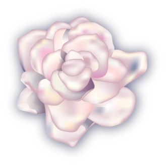 White Gardenia Corsage