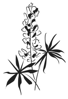 Flower Arrangement with Tropical Flair