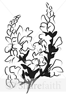 Altar Flower Bouquet Sketch
