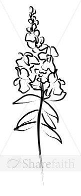 Flowering Plant Sketch