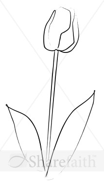 Elegant%20Tulip%20Sketch