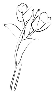 Tulip Pair in Loose Bouquet