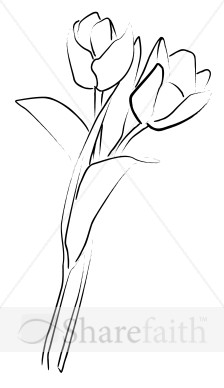 Tulip%20Pair%20in%20Loose%20Bouquet