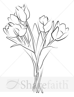 Tulip Bouquet Sketch