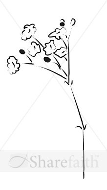 babies breath decoration