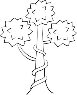 Ivy Topiary Sketch