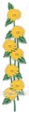 Sunflower Shoots