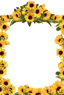 Full%20Frame%20Golden%20Sunflowers